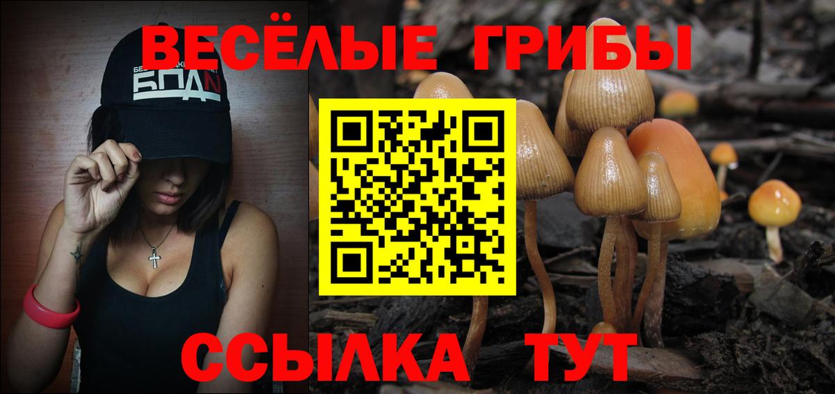 Псилоцибиновые грибы GOLDEN TEACHER Малгобек