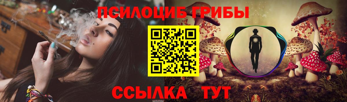 Псилоцибиновые грибы мицелий  Галлюциногенные грибы Cubensis  Вход с VPN  Малгобек 